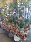 Fonds et murs commerciaux a vendre Candé 49440 Maine-et-Loire 49 100 m2 40500 euros 49095-1663 001