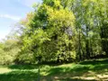 Maison a vendre Ploërdut 56160 Morbihan 56 352 m2 12 pièces 492400 euros 56075-2483 031