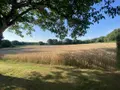 Maison a vendre Gomené 22230 Côtes-d'Armor 22 78 m2 4 pièces 94770 euros 22110-2335 003