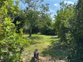 Maison a vendre Moutiers-au-Perche 61110 Orne 61 140 m2 5 pièces 122475 euros 61081-150 016
