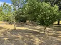Maison a vendre Sammarçolles 86200 Vienne 86 272 m2 7 pièces 397300 euros 37094-53 018