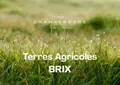 Terrains de loisirs bois etangs a vendre Brix 50700 Manche 50 3610 euros 50108-4846 001