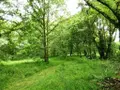 Maison a vendre Lignol 56160 Morbihan 56 81 m2 4 pièces 168450 euros 56075-2297 015