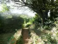 Maison a vendre Guémené-sur-Scorff 56160 Morbihan 56 310 m2 304300 euros 56075-2447 011