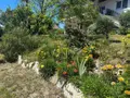 Maison a vendre Mimizan 40200 Landes 40 204 m2 8 pièces 673400 euros 40007-55 013