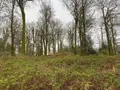 Terrains de loisirs bois etangs a vendre Champ-du-Boult 14380 Calvados 14 56710 euros 14076-5853 007