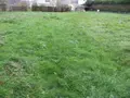 Terrain a batir a vendre Vire Normandie 14500 Calvados 14 33000 euros 14076-5533 002