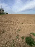 Terrain a batir a vendre Binas 41240 Loir-et-Cher 41 28000 euros 41029-53 002