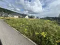 Terrain a batir a vendre Rancenay 25320 Doubs 25 87100 euros 25004-1313 002