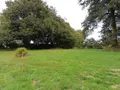 Terrain a batir a vendre Plouay 56240 Morbihan 56 142335 euros 56032-1669 001