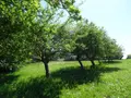 Maison a vendre Maisoncelles-du-Maine 53170 Mayenne 53 232 m2 9 pièces 385000 euros 53079-1415 005