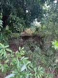 Terrain a batir a vendre Saint-Pierre 97250 Martinique 972 178928 euros 97410-730 002