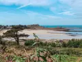Terrain a batir a vendre Plougasnou 29630 Finistère 29 72725 euros 29107-2650 005