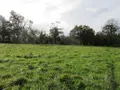 Divers a vendre Carhaix-Plouguer 29270 Finistère 29 9840 m2 95400 euros 29064-2753 003