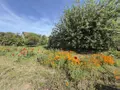 Maison a vendre Saint-Usage 21170 Côte-d'Or 21 150 m2 367500 euros 21012-268 016