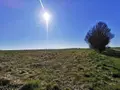 Terrain a batir a vendre Marquion 62860 Pas-de-Calais 62 88000 euros 62017-2726 002