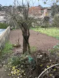 Maison a vendre Saint-Affrique 12400 Aveyron 12 146 m2 8 pièces 259000 euros 12051-15 011
