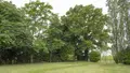 Maison a vendre Dangeul 72260 Sarthe 72 171 m2 5 pièces 209000 euros 72126-3201 028