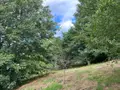 Terrain a batir a vendre Huelgoat 29690 Finistère 29 42500 euros 29064-2789 004