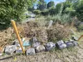 Terrain a batir a vendre Les Gonds 17100 Charente-Maritime 17 146888 euros 17111-756 009