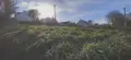 Terrain a batir a vendre Cherbourg-en-Cotentin 50100 Manche 50 94815 euros 50112-821 003
