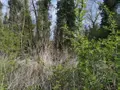 Terrains de loisirs bois etangs a vendre Thun-Saint-Martin 59141 Nord 59 4700 euros 59084-1559 001