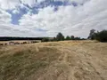 Terrain a batir a vendre Saint-Euphraise-et-Clairizet 51390 Marne 51 95000 euros 51066-1868 018