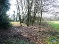 Terrain a batir a vendre Guern 56310 Morbihan 56 31980 euros 56075-2106 003