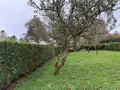 Maison a vendre Montbray 50410 Manche 50 175 m2 6 pièces 164300 euros 50038-2677 014