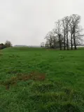 Terrain a batir a vendre Ligny-Saint-Flochel 62127 Pas-de-Calais 62 43000 euros 62113-1175 002