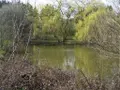Terrains de loisirs bois etangs a vendre Nuillé-sur-Vicoin 53970 Mayenne 53 126300 euros 53032-957 001