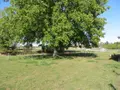Maison a vendre Mesnil-Clinchamps 14380 Calvados 14 63 m2 3 pièces 85600 euros 14076-5983 010
