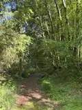 Terrains de loisirs bois etangs a vendre Noues de Sienne 14380 Calvados 14 168800 euros 14076-5956 015