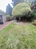 Maison a vendre Cambrai 59400 Nord 59 242 m2 9 pièces 379900 euros 59083-2555 017