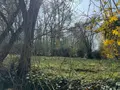 Maison a vendre Saint-Arnoult 41800 Loir-et-Cher 41 52 m2 2 pièces 46400 euros 41059-907 012