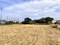 Terrain a batir a vendre Plougonvelin 29217 Finistère 29 93441 euros 29031-759 001
