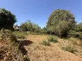 Terrain a batir a vendre Île-aux-Moines 56780 Morbihan 56 320000 euros 56089-137 002