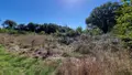 Maison a vendre Plusquellec 22160 Côtes-d'Armor 22 50 m2 3 pièces 63000 euros 29066-3913 020