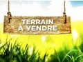 Terrain a batir a vendre Pouillé 41110 Loir-et-Cher 41 13000 euros 41033-1686 001