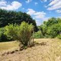 Maison a vendre Lamnay 72320 Sarthe 72 72 m2 3 pièces 63600 euros 72085-2225 014