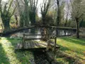 Maison a vendre Frévin-Capelle 62690 Pas-de-Calais 62 138 m2 6 pièces 393000 euros 62113-1228 009