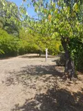 Maison a vendre Pavie 32550 Gers 32 152 m2 6 pièces 285000 euros 32002-1436 004