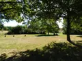 Maison a vendre Druillat 01160 Ain 01 238 m2 5 pièces 270000 euros 01016-526 012