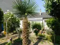 Maison a vendre Angers 49100 Maine-et-Loire 49 67 m2 3 pièces 260250 euros 49096-1407 002
