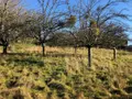 Terrain a batir a vendre Roullours 14500 Calvados 14 38000 euros 14076-4986 002