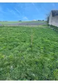 Maison a vendre Binas 41240 Loir-et-Cher 41 93 m2 159000 euros 41029-42 009