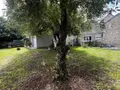Maison a vendre Rilly-sur-Vienne 37220 Indre-et-Loire 37 85 m2 95400 euros 37060-2376 001
