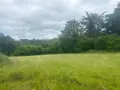 Terrain a batir a vendre Berrien 29690 Finistère 29 39500 euros 29064-2784 004