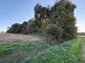 Terrain a batir a vendre Guilliers 56490 Morbihan 56 3532 m2 4900 euros 10 001