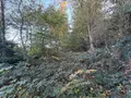 Terrain a batir a vendre Guilliers 56490 Morbihan 56 3532 m2 4900 euros 10 002